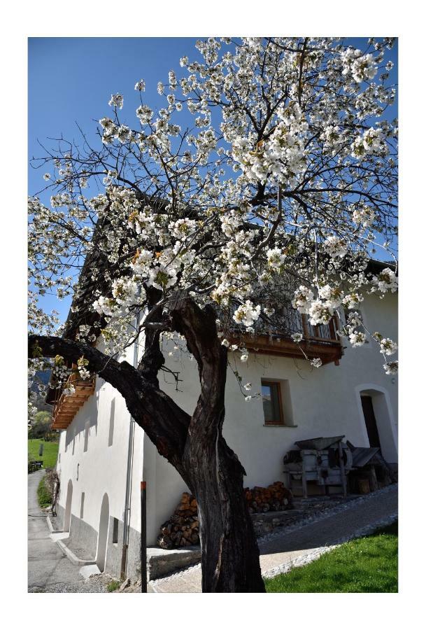 La Maison Abeil LʼArgentière-la-Bessée Екстериор снимка