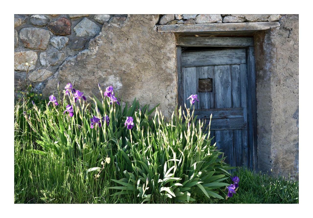 La Maison Abeil LʼArgentière-la-Bessée Екстериор снимка